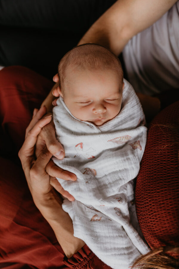 Family-Newborn-Lifestyle Session