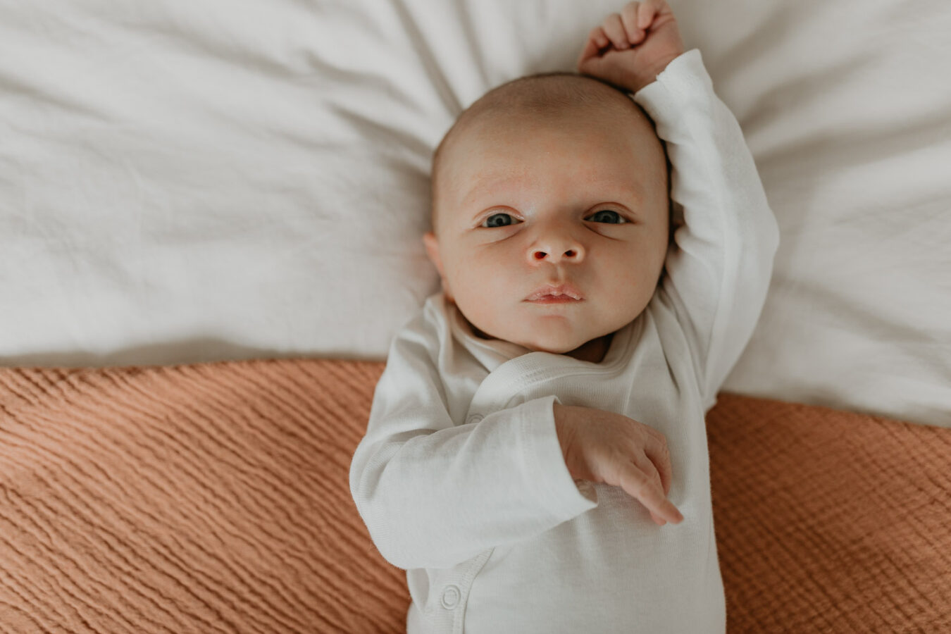 Family-Newborn-Lifestyle Session