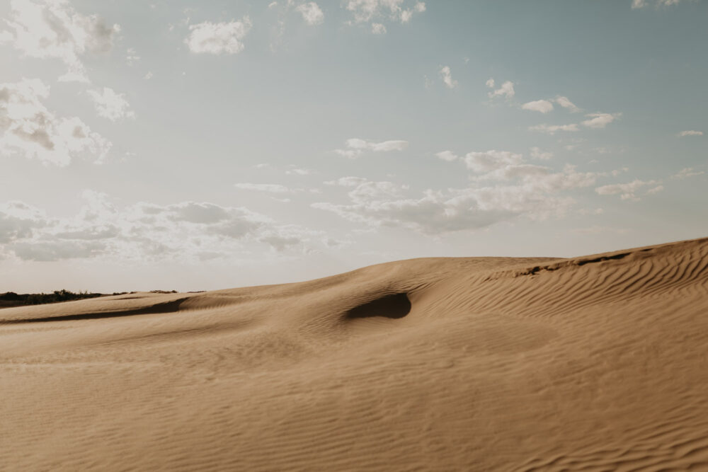 Sand dunes-couples-sunset-session