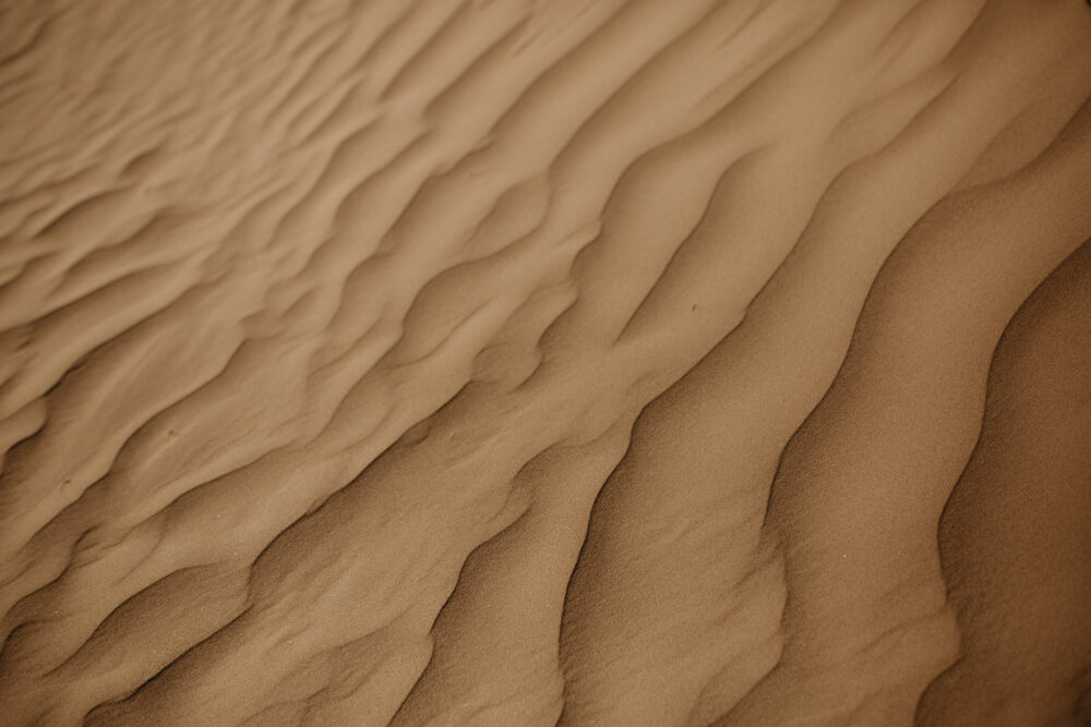 Sand dunes-couples-sunset-session