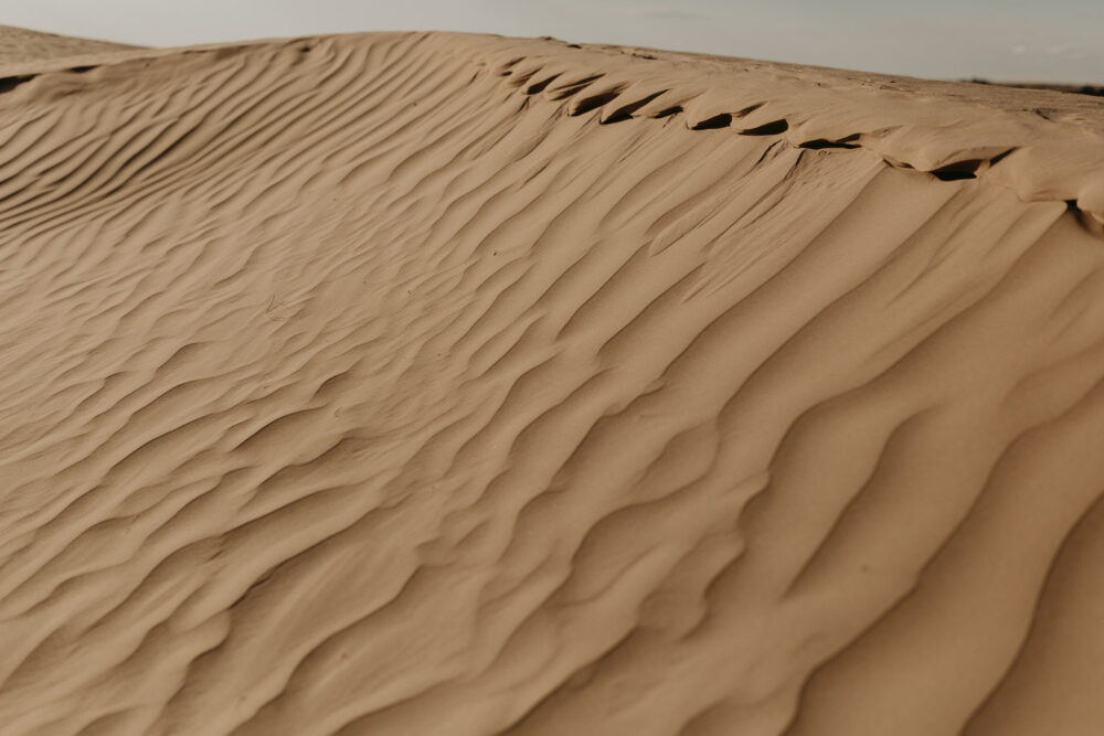 Sand dunes-couples-sunset-session