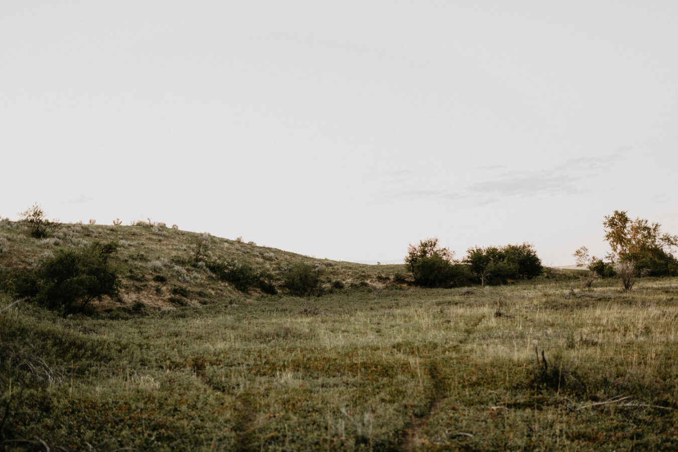 Sand dunes-couples-sunset-session