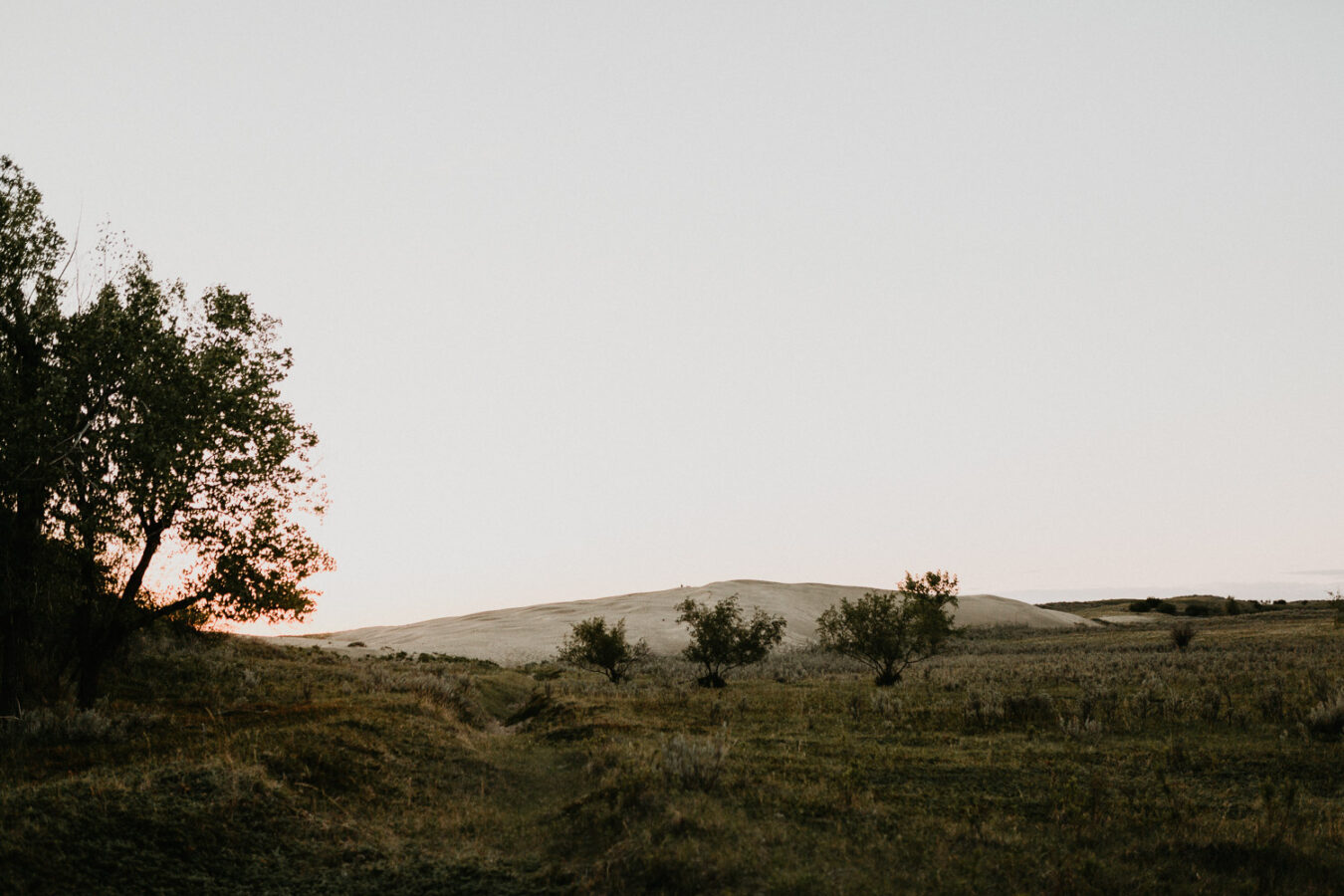 Sand dunes-couples-sunset-session